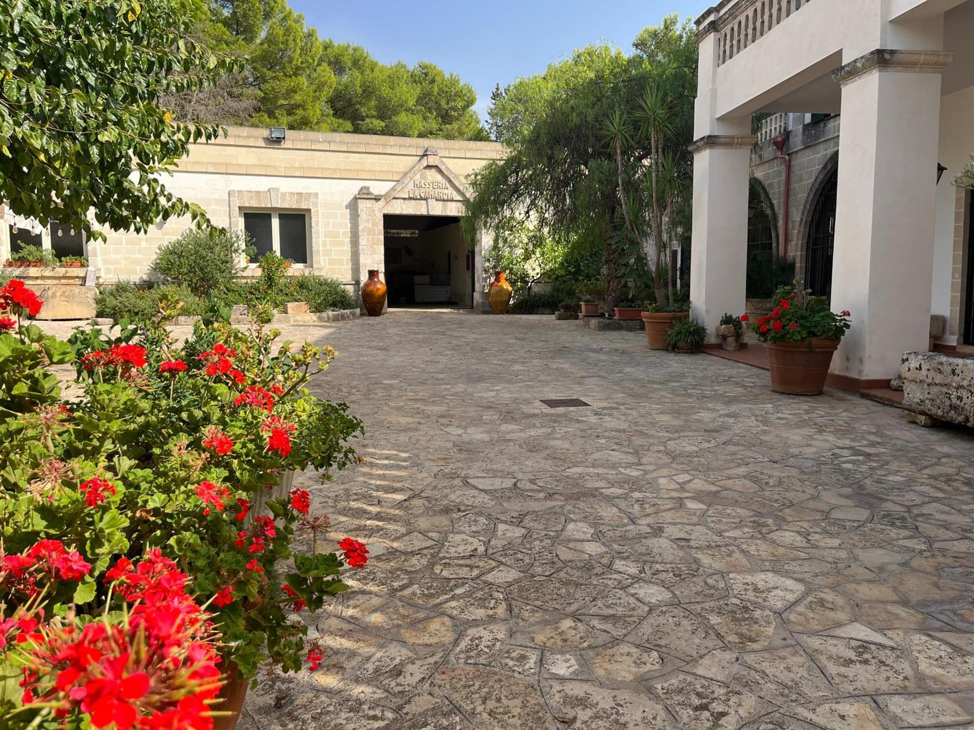 סאווה Masseria La Camardia מראה חיצוני תמונה