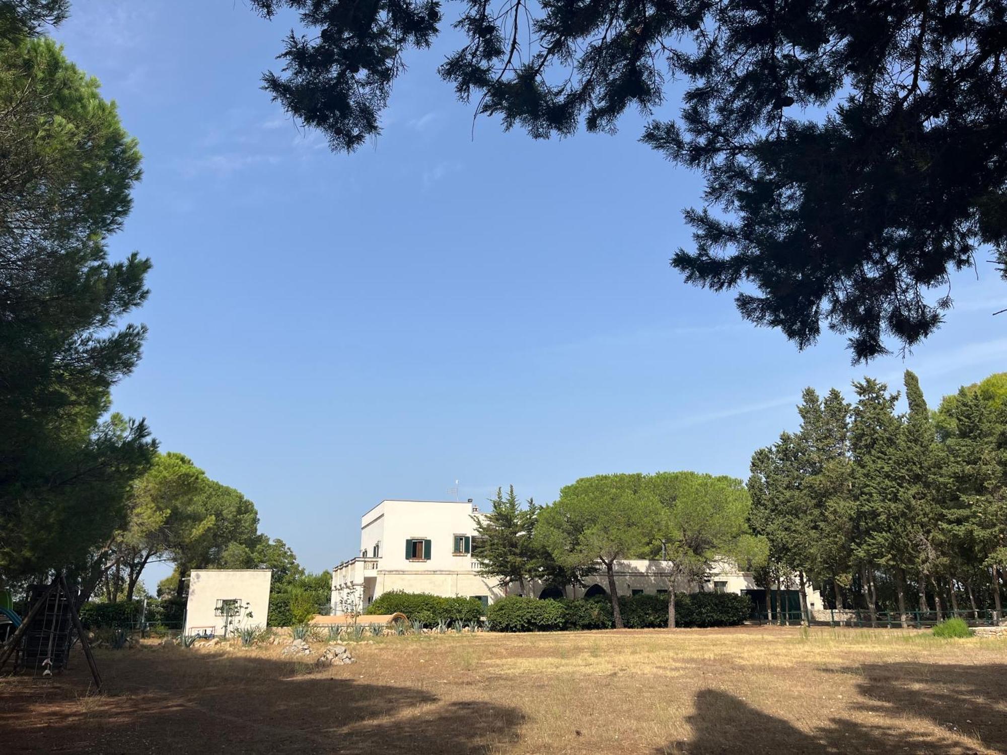 סאווה Masseria La Camardia מראה חיצוני תמונה