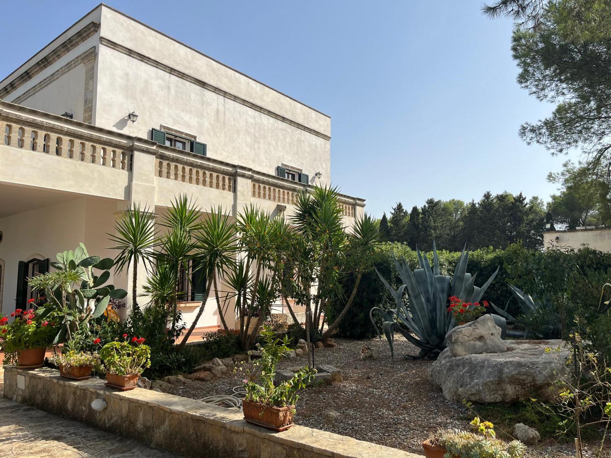 סאווה Masseria La Camardia מראה חיצוני תמונה