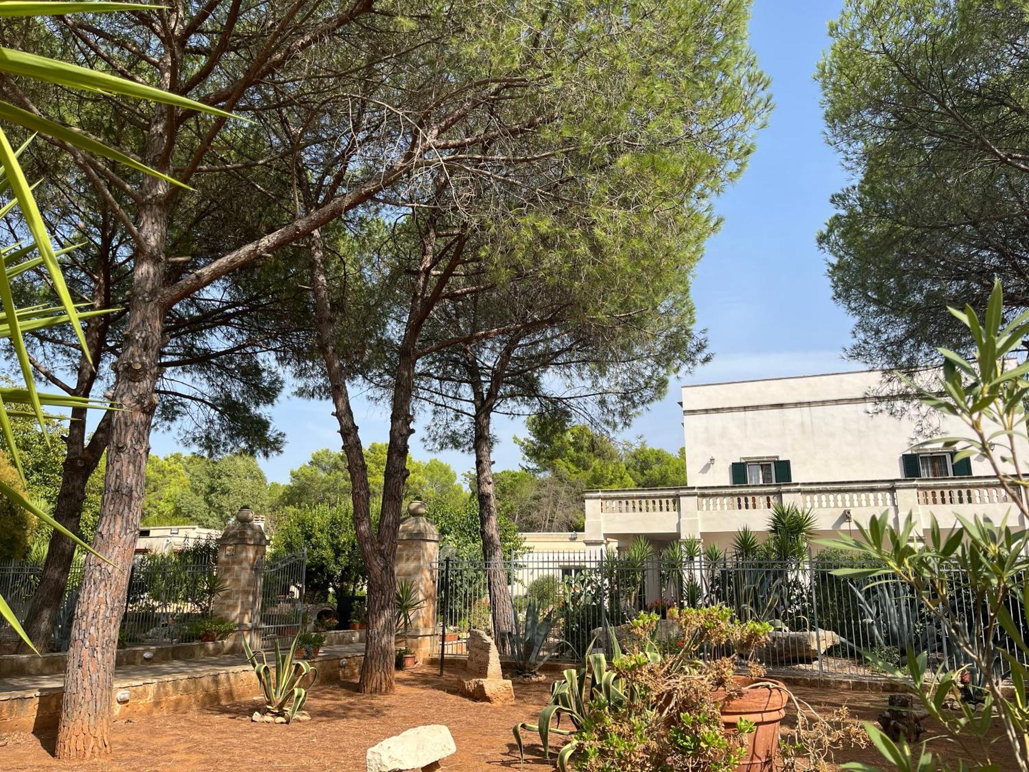 סאווה Masseria La Camardia מראה חיצוני תמונה