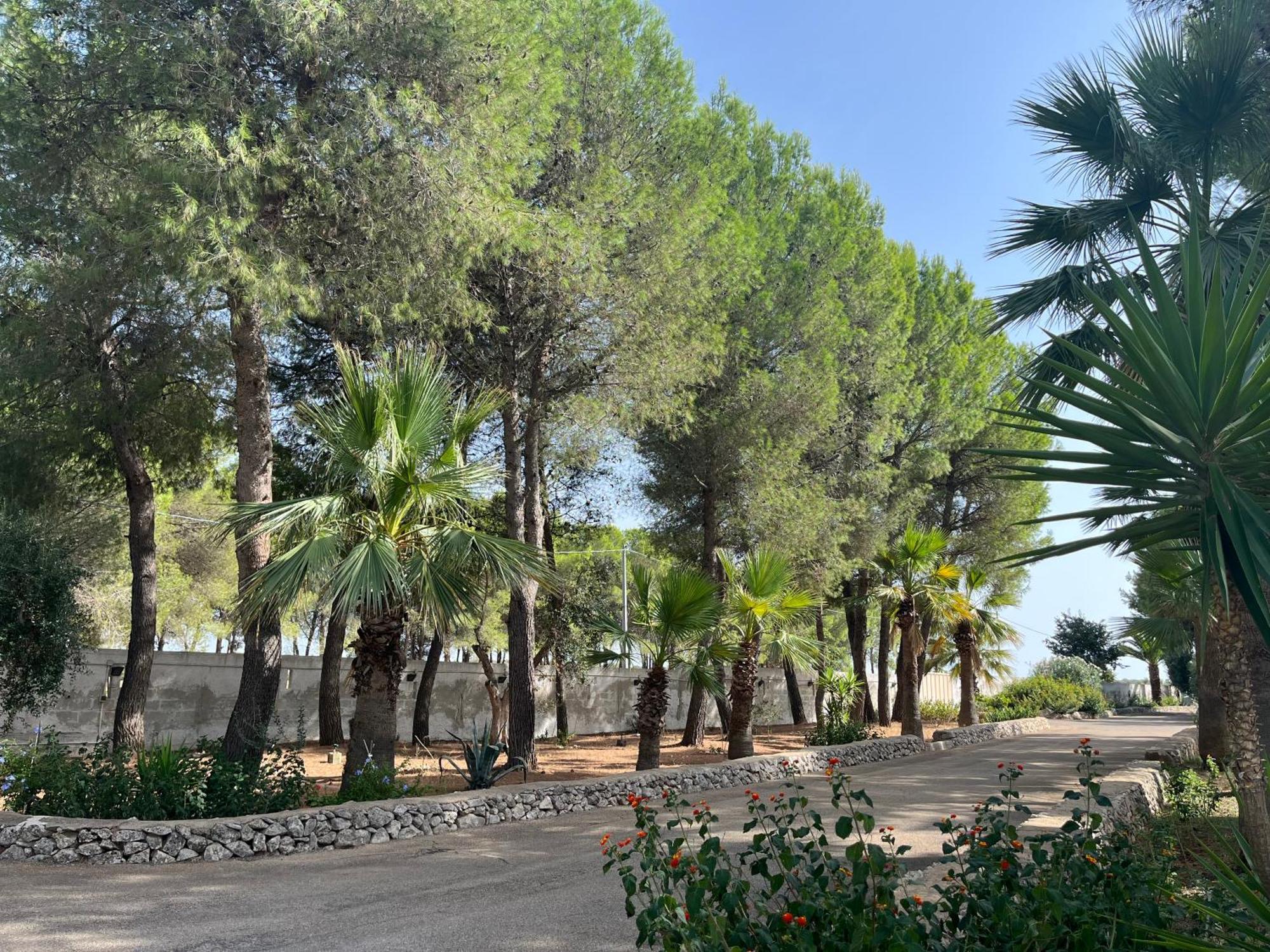 סאווה Masseria La Camardia מראה חיצוני תמונה