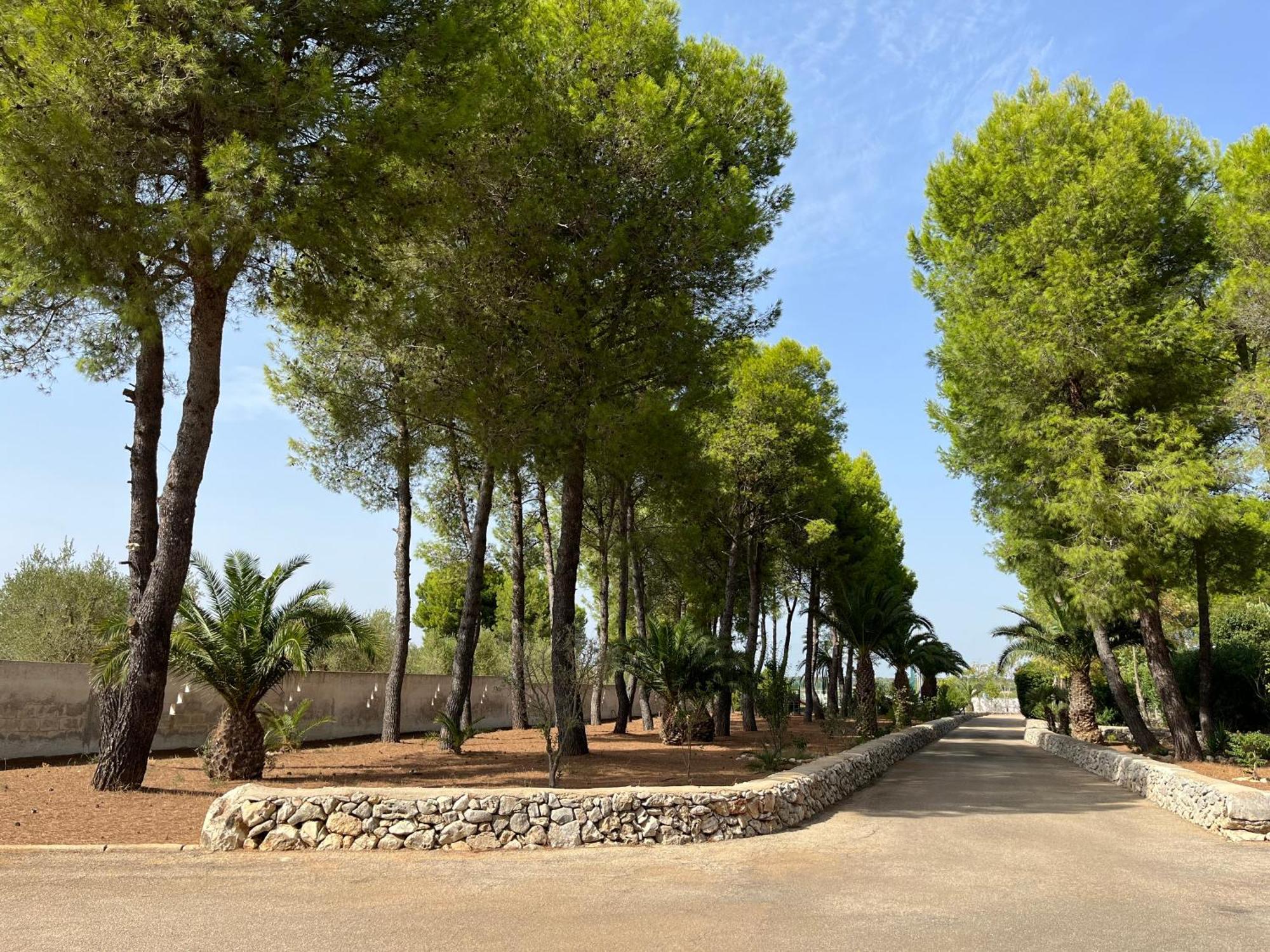 סאווה Masseria La Camardia מראה חיצוני תמונה