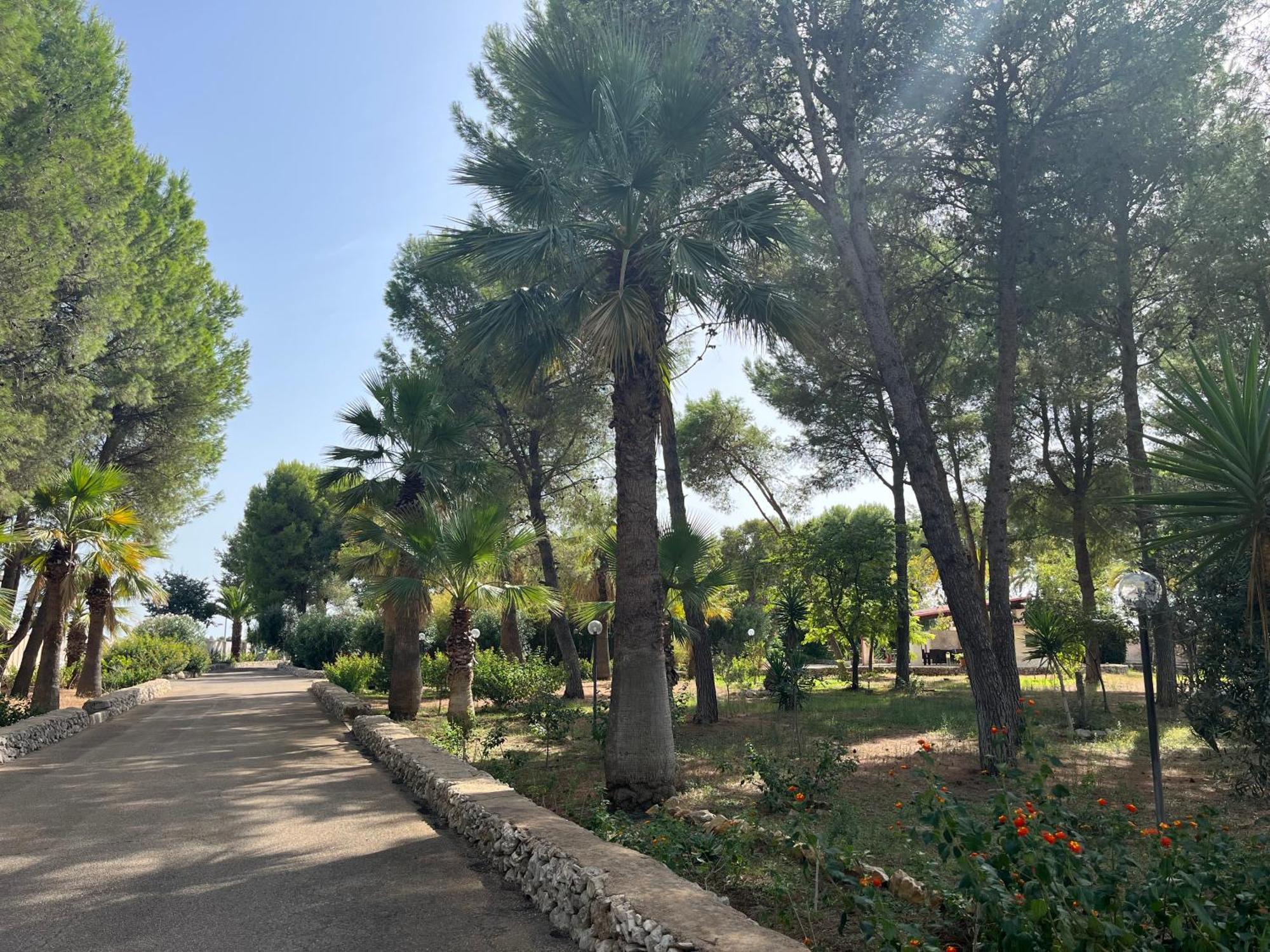 סאווה Masseria La Camardia מראה חיצוני תמונה