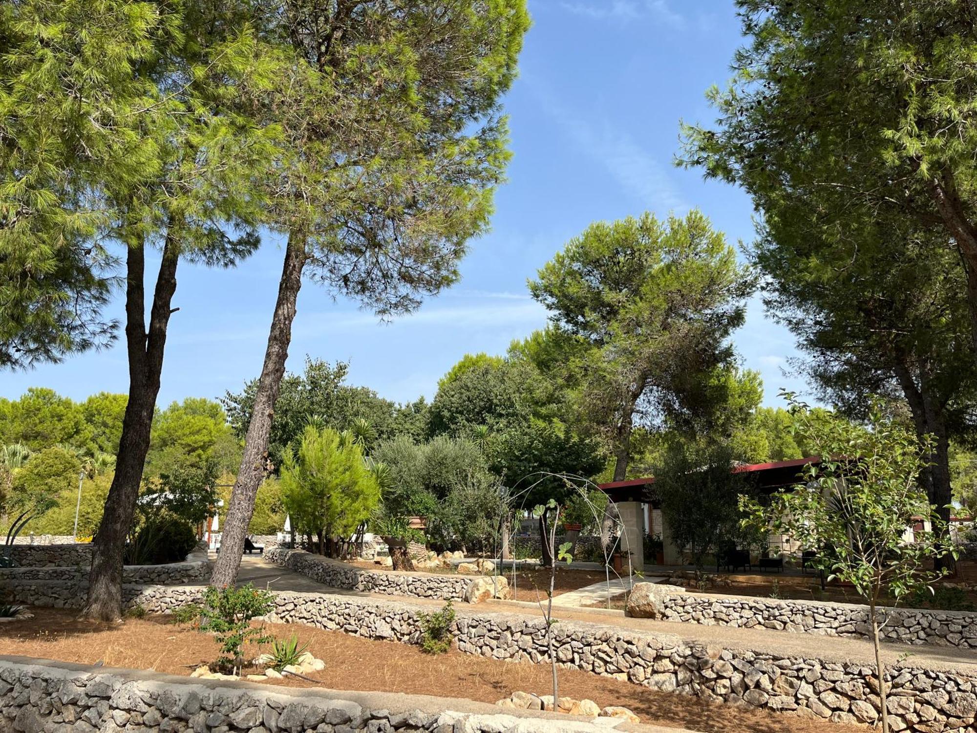 סאווה Masseria La Camardia מראה חיצוני תמונה