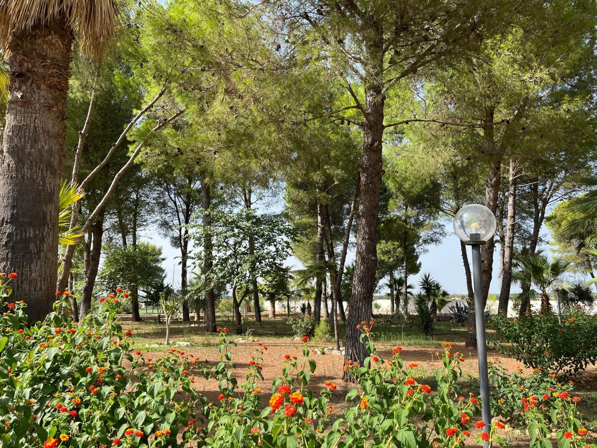 סאווה Masseria La Camardia מראה חיצוני תמונה