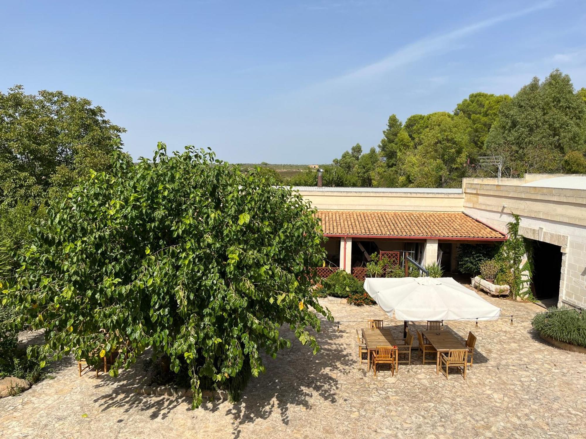 סאווה Masseria La Camardia מראה חיצוני תמונה