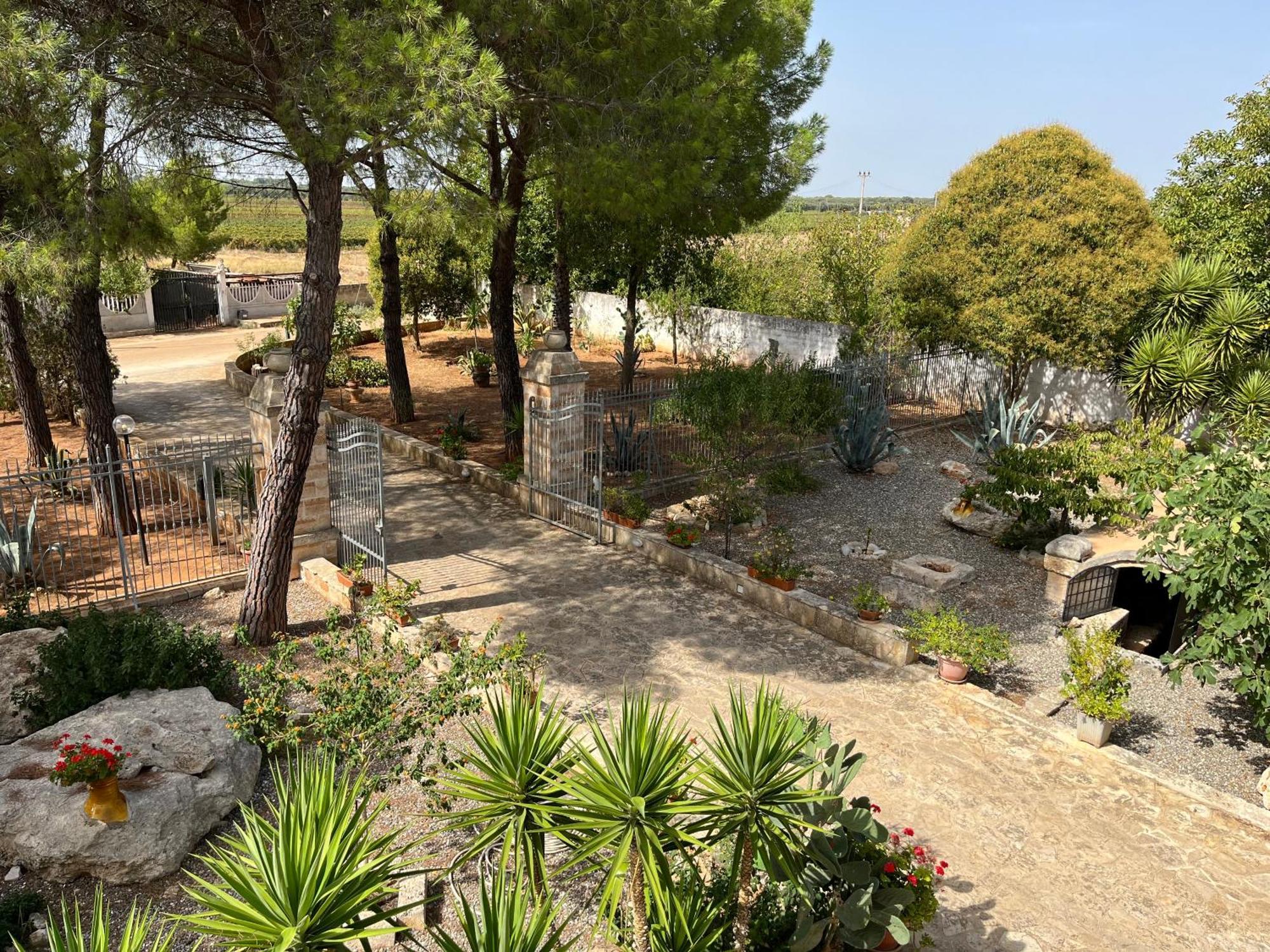 סאווה Masseria La Camardia מראה חיצוני תמונה