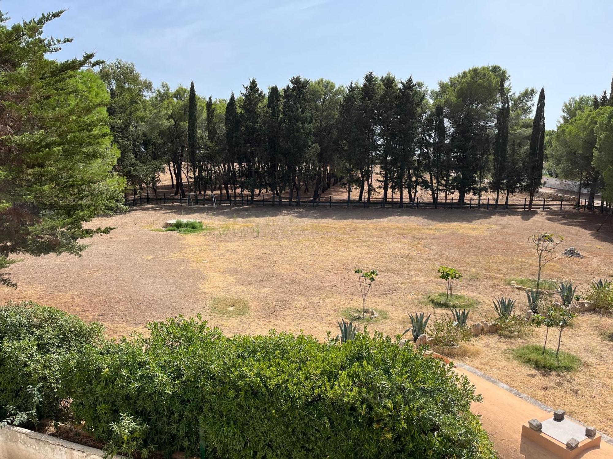 סאווה Masseria La Camardia מראה חיצוני תמונה