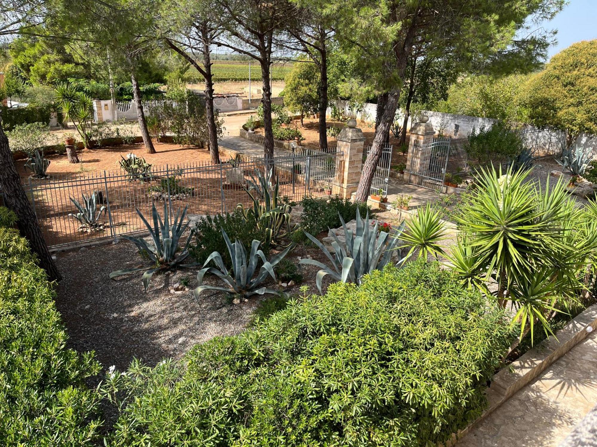 סאווה Masseria La Camardia מראה חיצוני תמונה